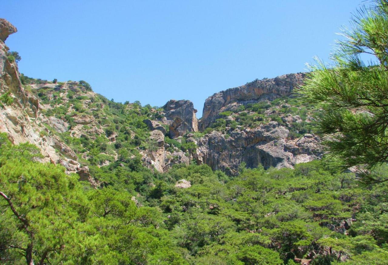 Villa Kalliopi Koutsounari Exteriör bild