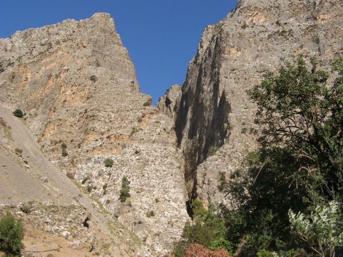 Villa Kalliopi Koutsounari Exteriör bild
