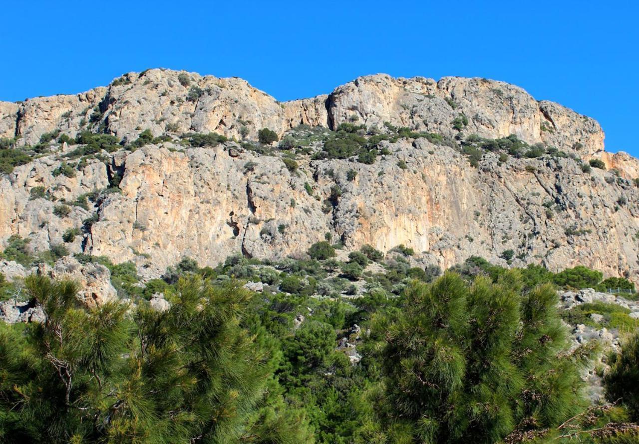 Villa Kalliopi Koutsounari Exteriör bild
